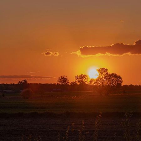 Dwor Na Otulinie Villa Białowieża Dış mekan fotoğraf