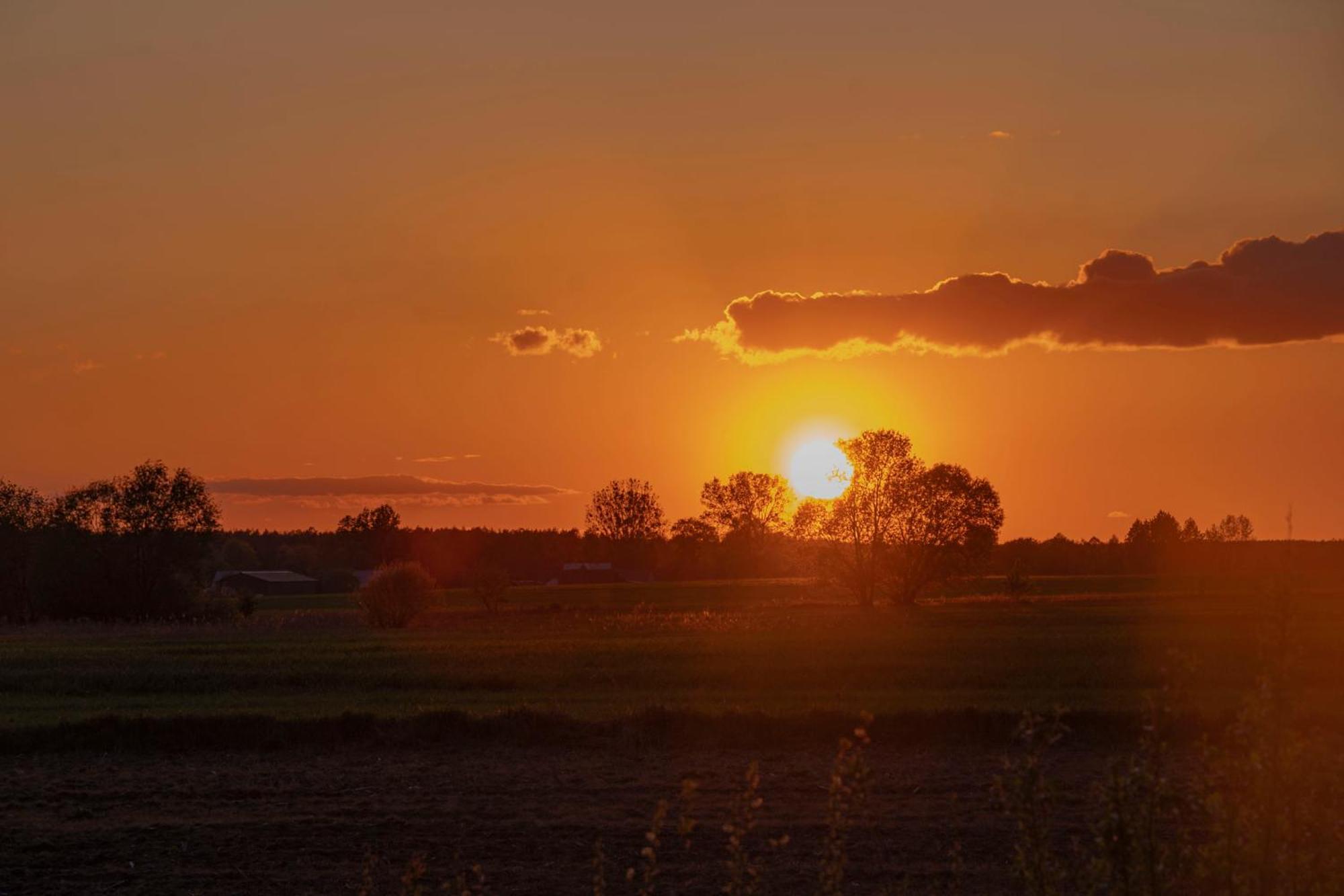 Dwor Na Otulinie Villa Białowieża Dış mekan fotoğraf